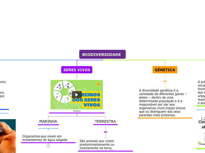 BIODIVERSIDADE - Mind Map
